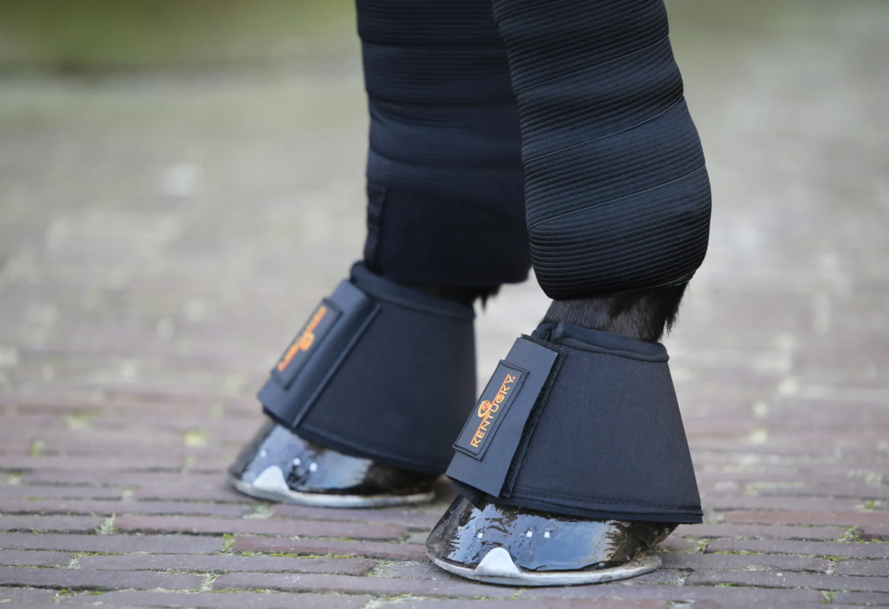 Hufglocken Solimbra, Springglocken