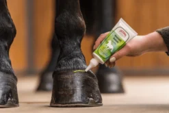 Hufpflege Kronrand Balsam, Huf Aufbau