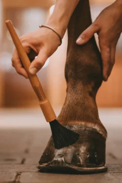 Huf Pinsel Hoof Pencil