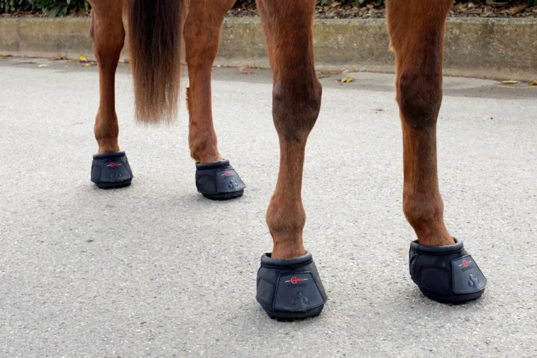 Hufschuh