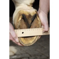 Hufschuh