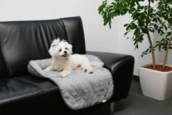 Hunde Couchkissen Emalia