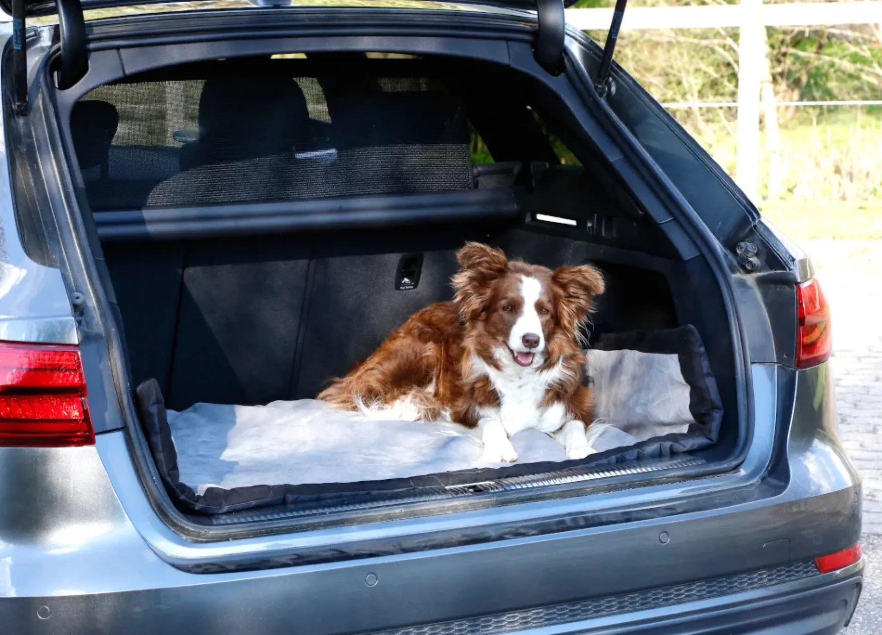 Hundedecke Trip