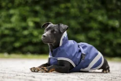 Hundemantel Freedom, 50 g, Hundejacke