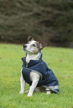 Hundemantel Freedom, 50 g, Hundejacke