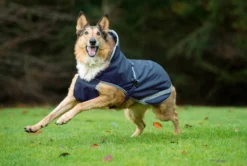 Hundemantel Freedom, 50 g, Hundejacke