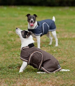 Hundemantel Ripstop
