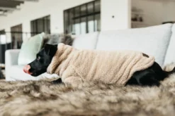 Hundemantel Sweater Teddy Fleece, Hundejacke