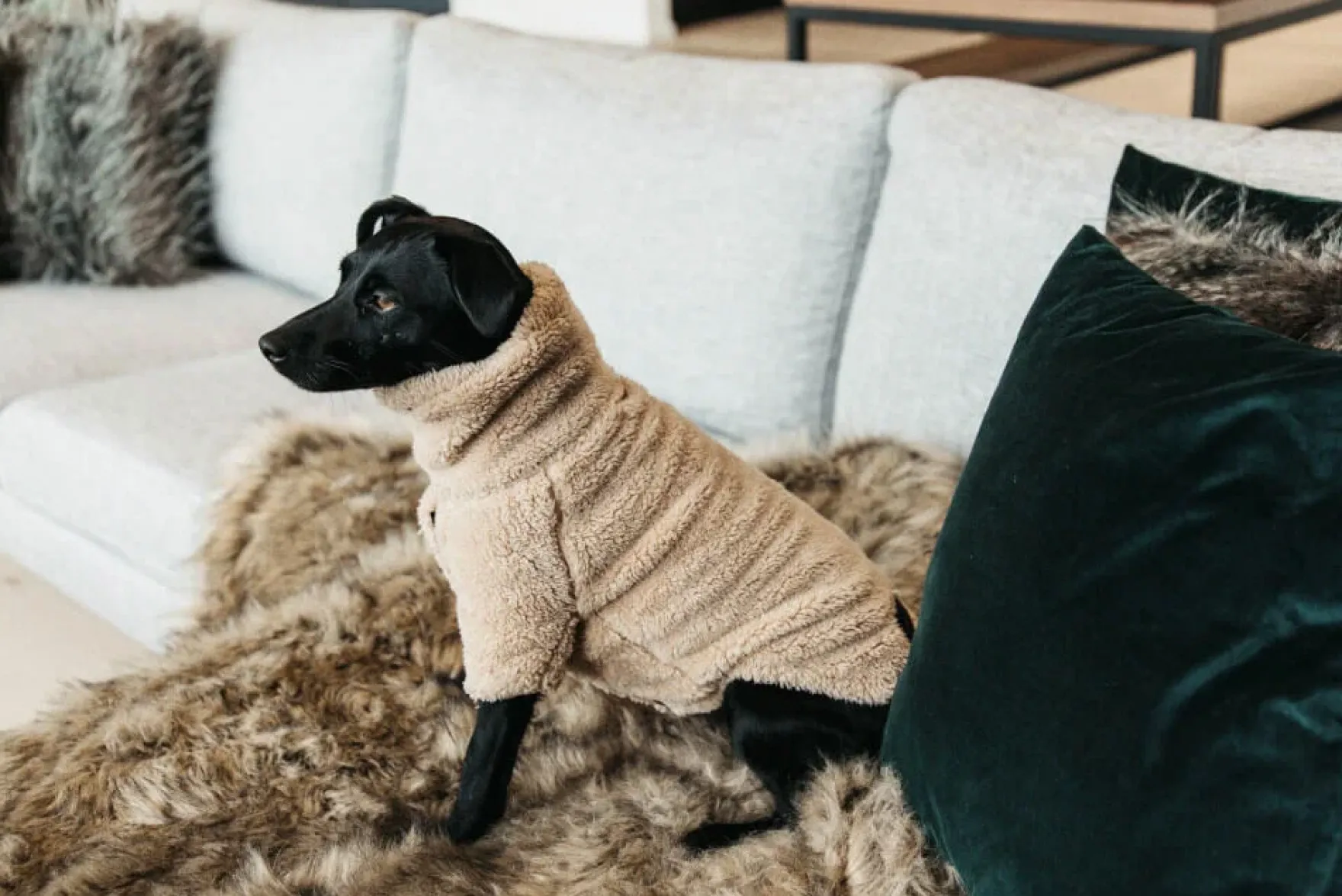 Hundemantel Sweater Teddy Fleece, Hundejacke