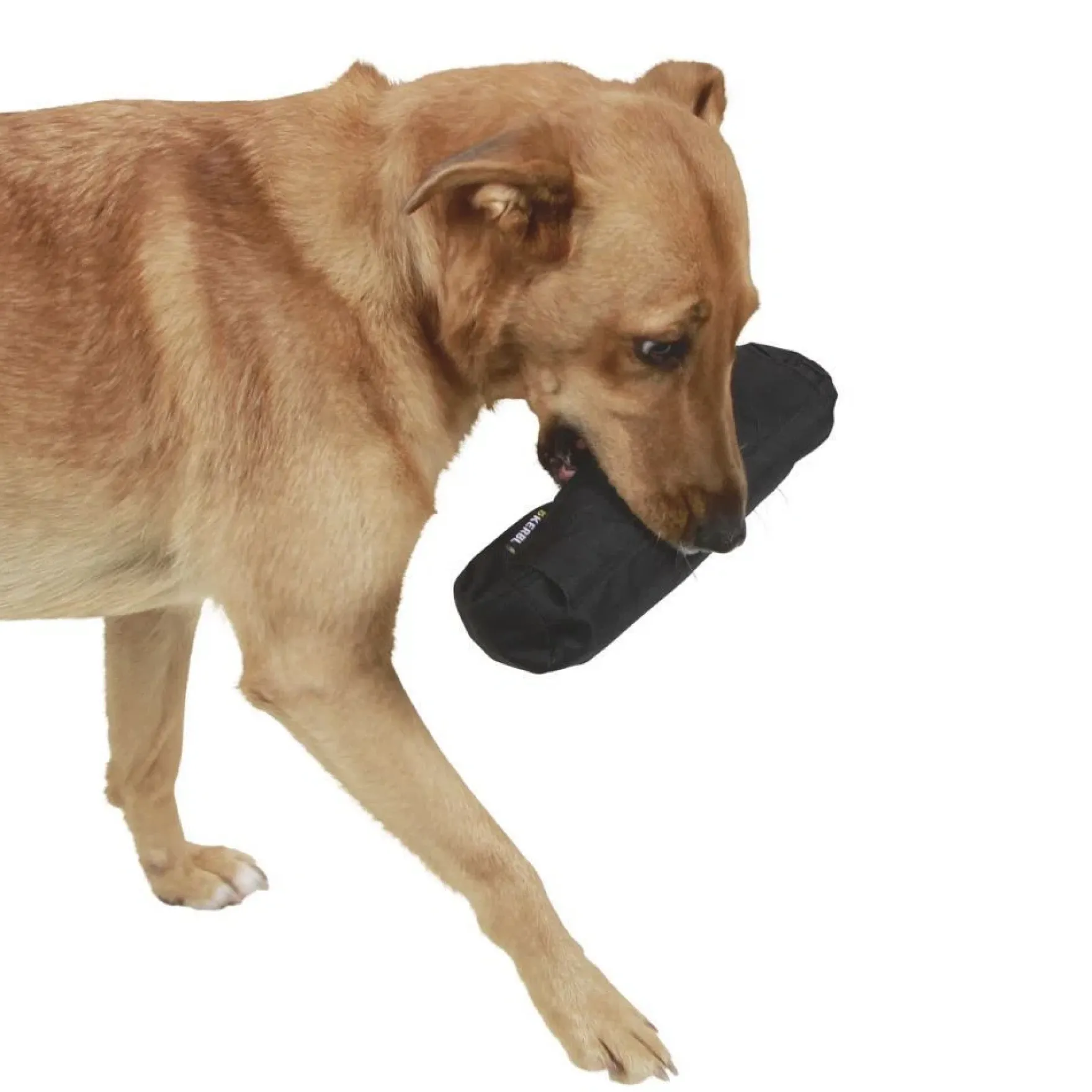 Hundespielzeug Dummy, Snackdummy