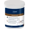 Intesticare Horse, Ergänzungsfutter, Pulver