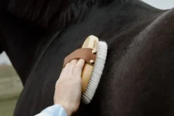Kardätsche Overall Brush Soft, Pferdebürste