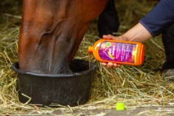 Kräutersirup, Ergänzungsfuttermittel, für Atemwege und Bronchien, Zuckerfrei