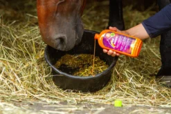 Kräutersirup, Ergänzungsfuttermittel, für Atemwege und Bronchien, Zuckerfrei