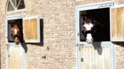 Kunstfell Halfterset, 4-teilig
