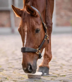 Leckschale Stable Snack