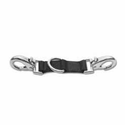 Longierbrille