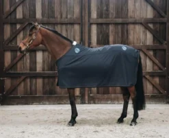Magnetfelddecke Magnetic Rug Recuptex, Therapiedecke