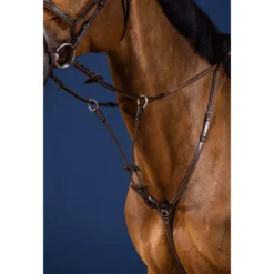 Martingalgabel, Ringmartingal, elastisch, US-Kollektion