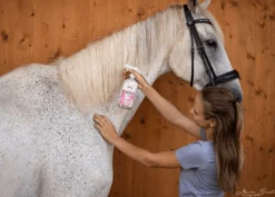 Mähnenspray Natürlicher Mähnenglanz