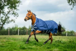 Outdoordecke Amigo Bravo 12 Wug Turnout Medium, 250 g, High Neck