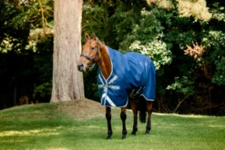Outdoordecke Amigo Bravo 12 Wug Turnout Heavy, 400 g, High Neck
