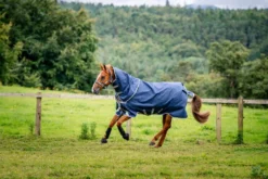 Outdoordecke Amigo 1200D Plus Pony Turnout, 250 g, Winterdecke, mit abnehmbarem Halsteil