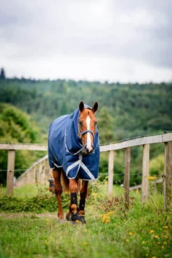 Outdoordecke Amigo 1200D Plus Pony Turnout, 250 g, Winterdecke, mit abnehmbarem Halsteil