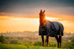 Outdoordecke Amigo Ripstop 900D Fleece Lined Turnout FS26, 50 g, mit Fleece