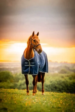 Outdoordecke Amigo Ripstop 900D Pony Turnout FS26, 0 g
