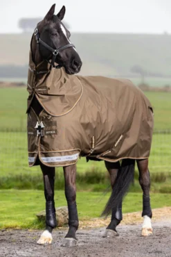 Outdoordecke Arika 600D Ripstop Turnout Rug, 0 g, Regendecke, abnehmbares Halsteil
