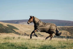 Outdoordecke Arika 600D Ripstop Turnout Rug, 0 g, Regendecke, abnehmbares Halsteil