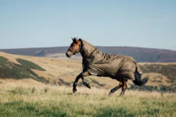 Outdoordecke Arika 600D Ripstop Turnout Rug, 50 g, Regendecke, abnehmbares Halsteil