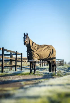 Outdoordecke Arika 600D Ripstop Turnout Rug, 200 g, Winterdecke