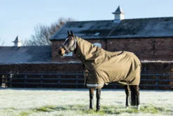 Outdoordecke Arika 600D Ripstop Turnout Rug, 200 g, Winterdecke