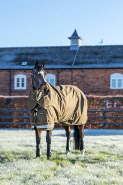 Outdoordecke Arika 600D Ripstop Turnout Rug, 200 g, Winterdecke