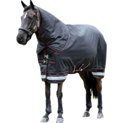 Outdoordecke Arika Storm-Tek Rug, 100 g, Weidedecke, mit abnehmbarem Halsteil