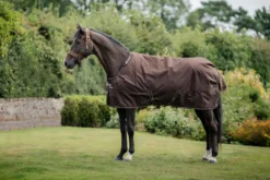 Outdoordecke Irish Turnout, 300 g, Winterdecke