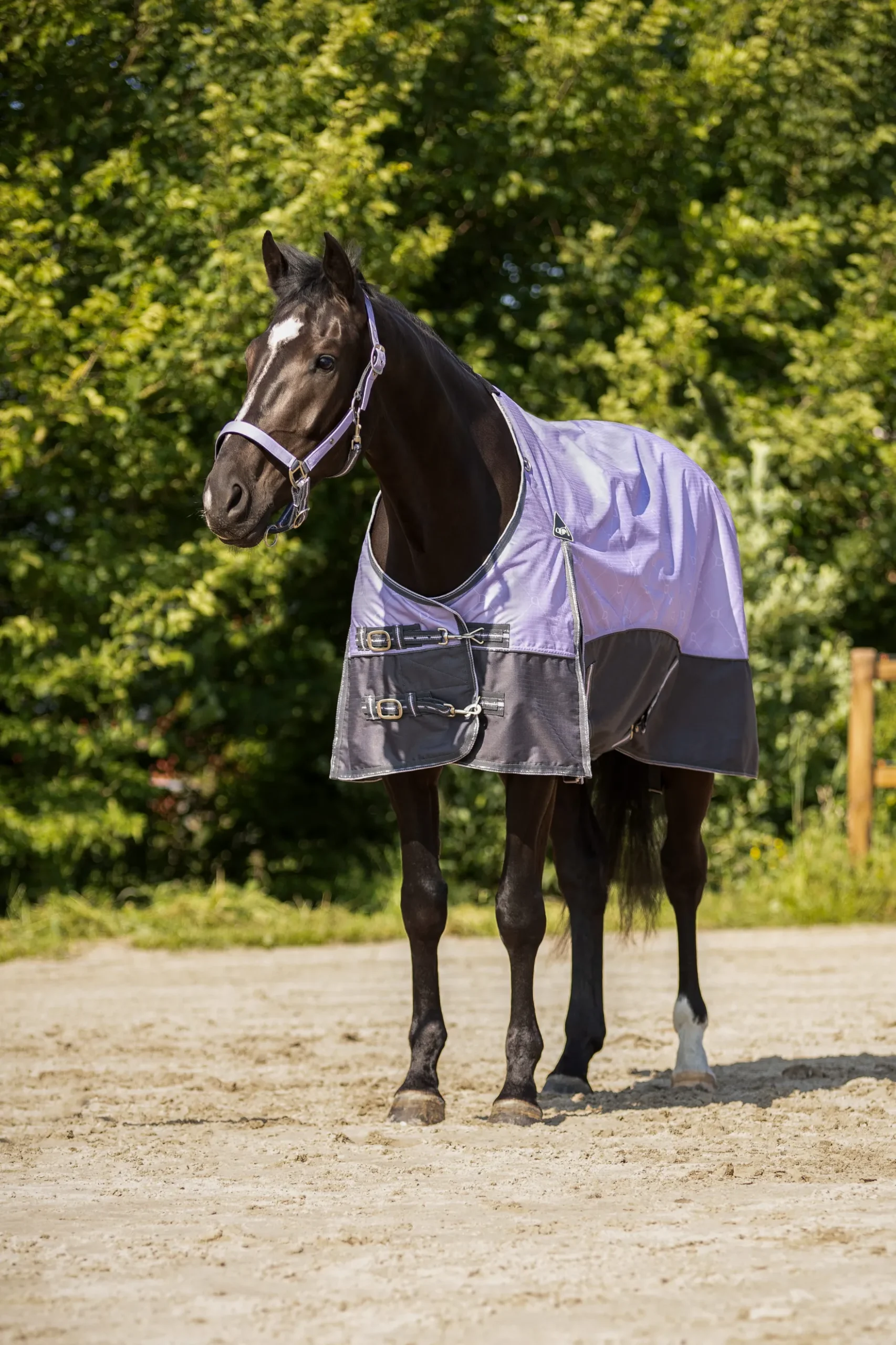 Outdoordecke Turnout Collection FS26, 0 g, Regendecke