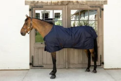 Outdoordecke Turnout Rug All Weather Waterproof Classic, 300 g, Winterdecke