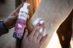 Pferdeshampoo Fleck-Weg Schaum, Trockenshampoo, Express Reinigung