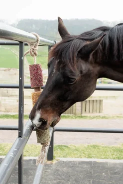 Pferdespielzeug Relax Horse Toy Destress, Knabberspielzeug, Anti-Stress