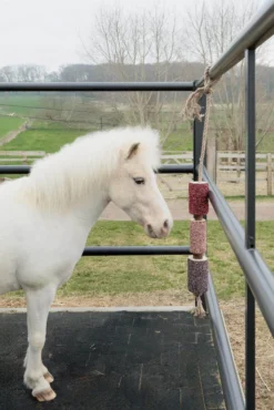 Pferdespielzeug Relax Horse Toy Unicorn Joy, Knabberspielzeug