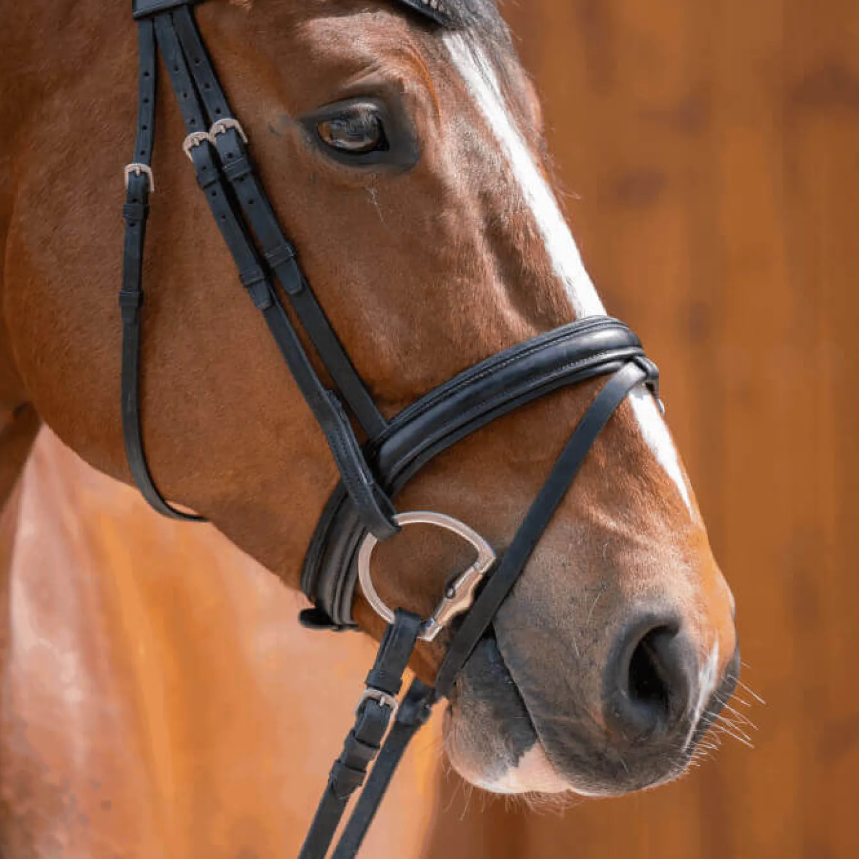 Pony Olivenkopftrense Turnado, Sensogan, einfach gebrochen, Olivenkopfgebiss