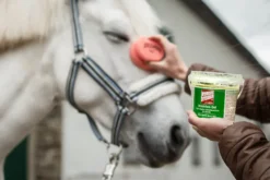 Proaktiv Gel, Insektenschutzgel, mit Schwamm