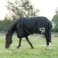 Regendecke Dublin, 50 g
