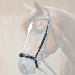 Reithalfter, hannoveranisch