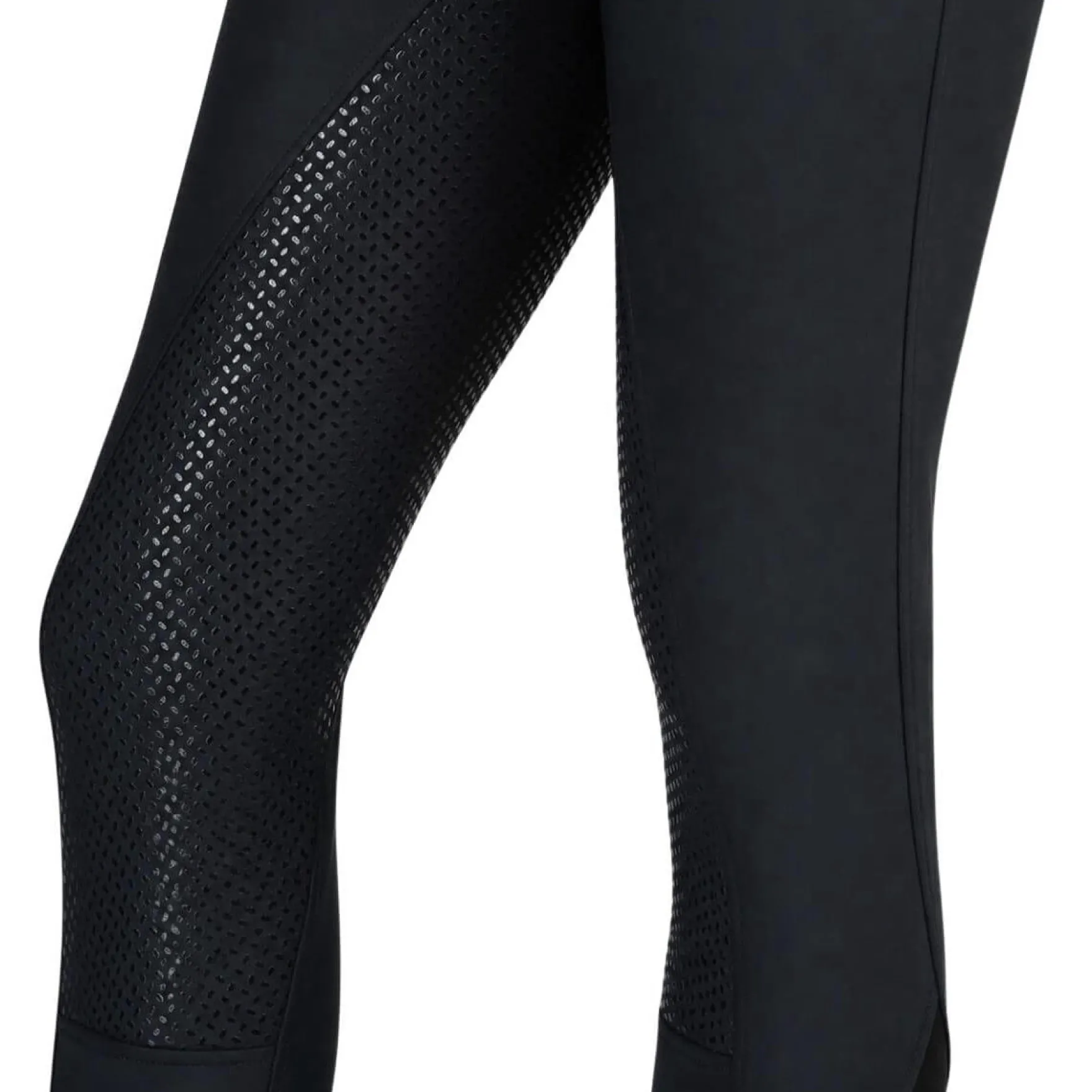 Reithose Damen Dry Ride Classic, Vollbesatz, Full-Grip, Winterreithose, wasserdicht