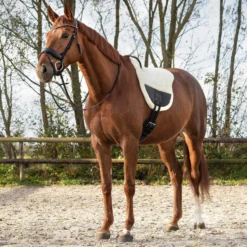 Reitpad Ontario, Barebackpad, Reitkissen
