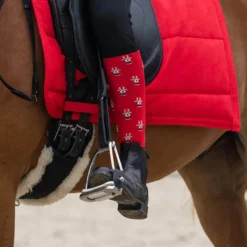 Reitsocken Damen Weihnachten, 2 Paar